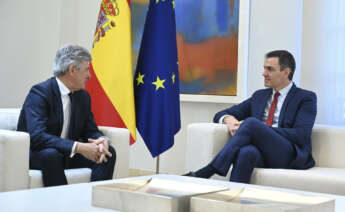 El presidente del Gobierno, Pedro Sánchez, mantiene un encuentro con el consejero delegado de Cellnex, Marco Patuano. EFE/ Borja Puig de la Bellacasa.