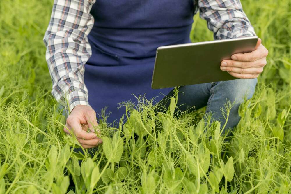 agricultor campo verde tablet