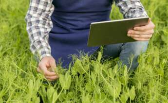 agricultor campo verde tablet