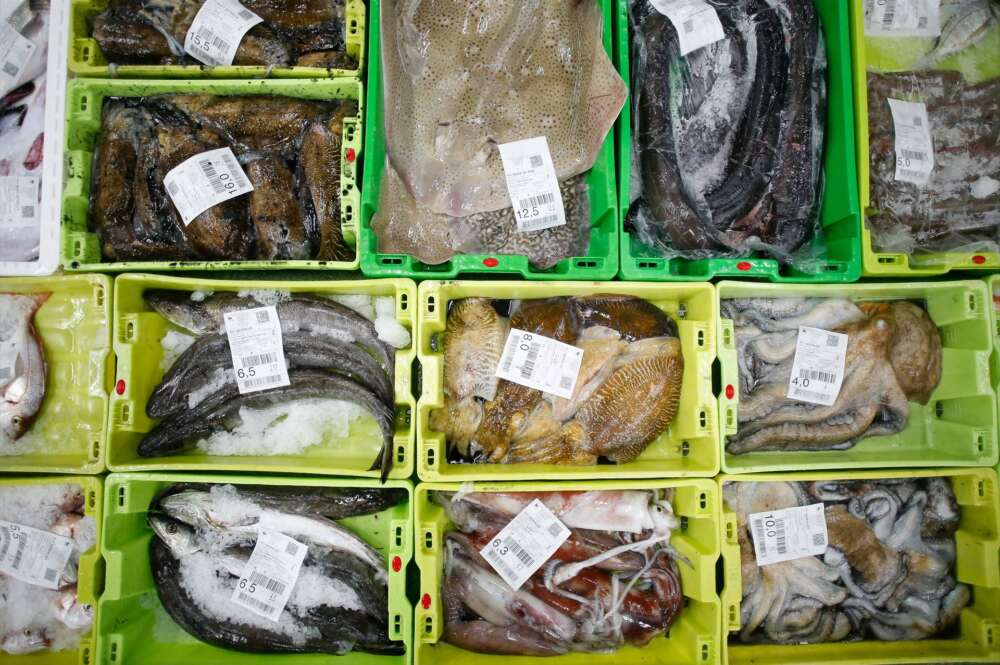 Cajas con pescado / OCU desaconseja ingrediente