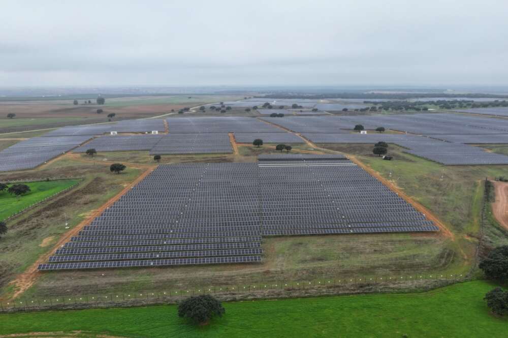 Una de las plantas fotovoltaicas de Naturgy en Extremadura. Foto: Naturgy.