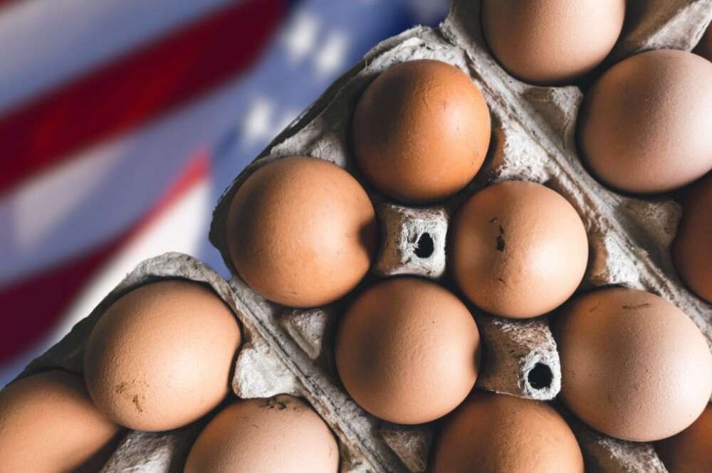 La nueva moda de Estados Unidos que pronto llegará a España para ahorrar en huevos