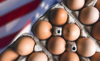 La nueva moda de Estados Unidos que pronto llegará a España para ahorrar en huevos