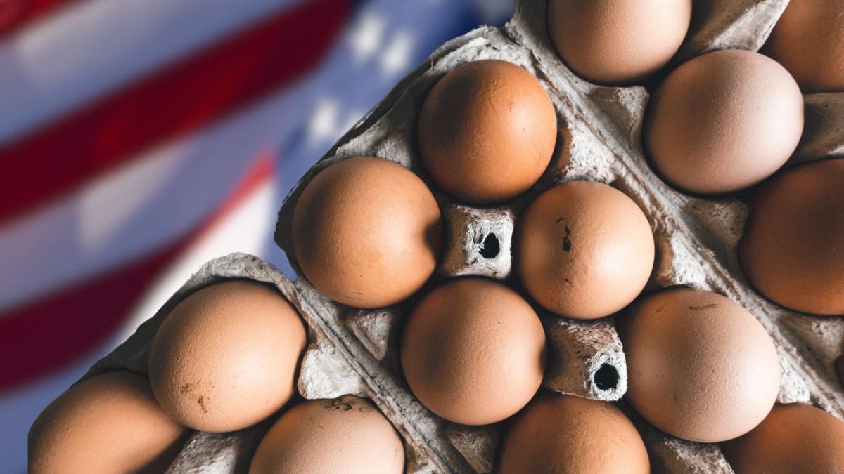 La nueva moda de Estados Unidos que pronto llegará a España para ahorrar en huevos
