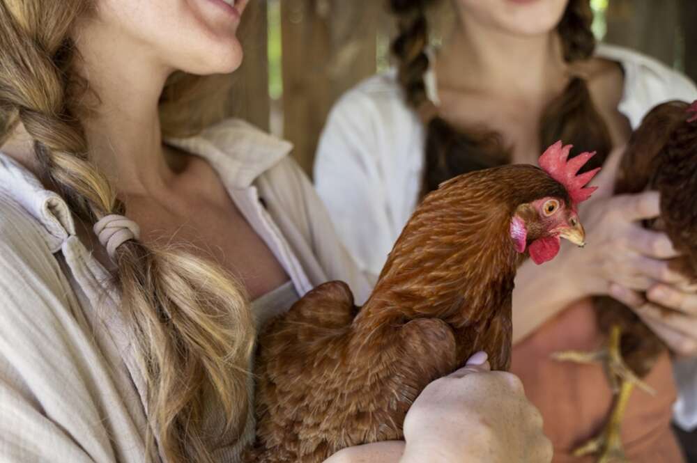 Una mujer sosteniendo una gallina en brazos