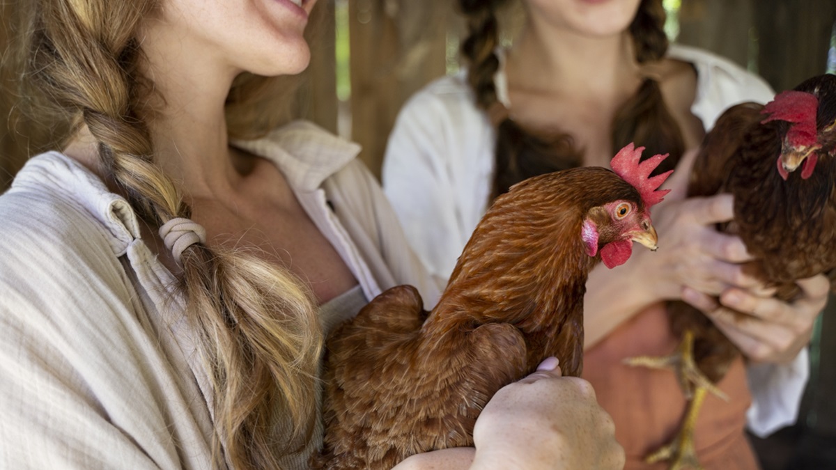 Una mujer sosteniendo una gallina en brazos