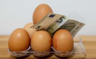 El precio de los Huevos