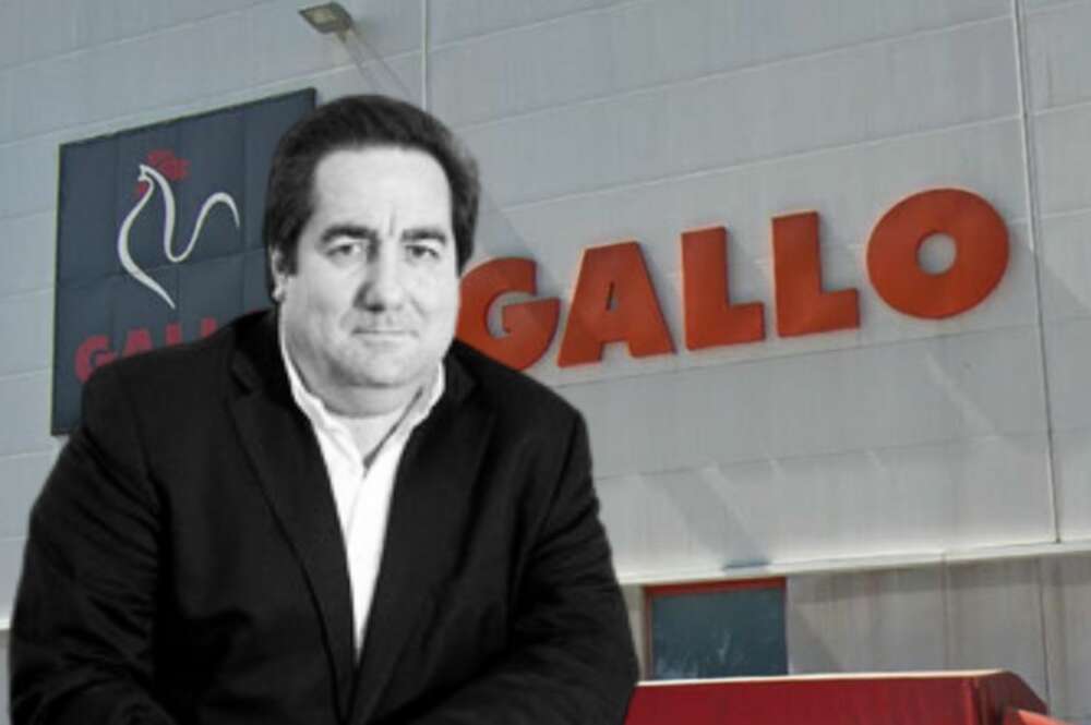 Grupo Gallo