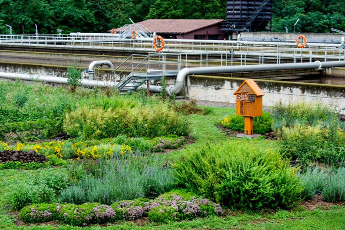 Veolia impulsa la naturalización de sus instalaciones, como en la depuradora de la Garrotxa (Cataluña)