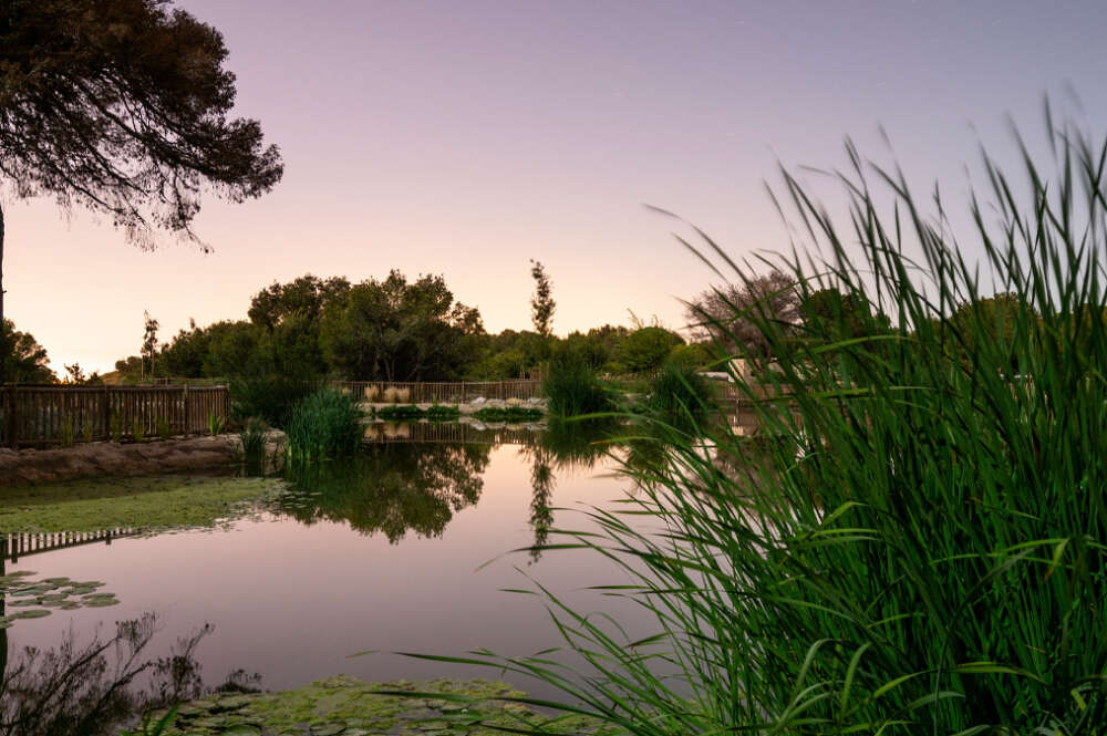Parque El Recorral de Rojales (Alicante), ejemplo de solución basada en la naturaleza