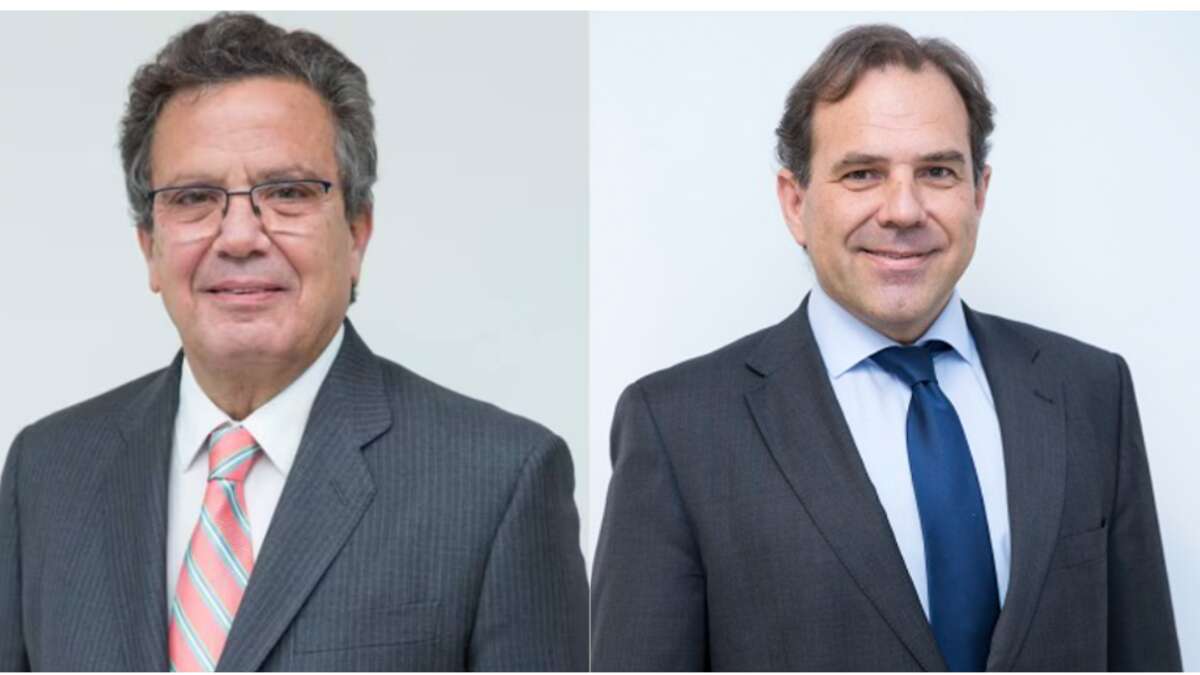 nuevo presidente sareb