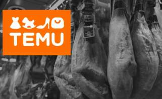 Temu jamón ibérico