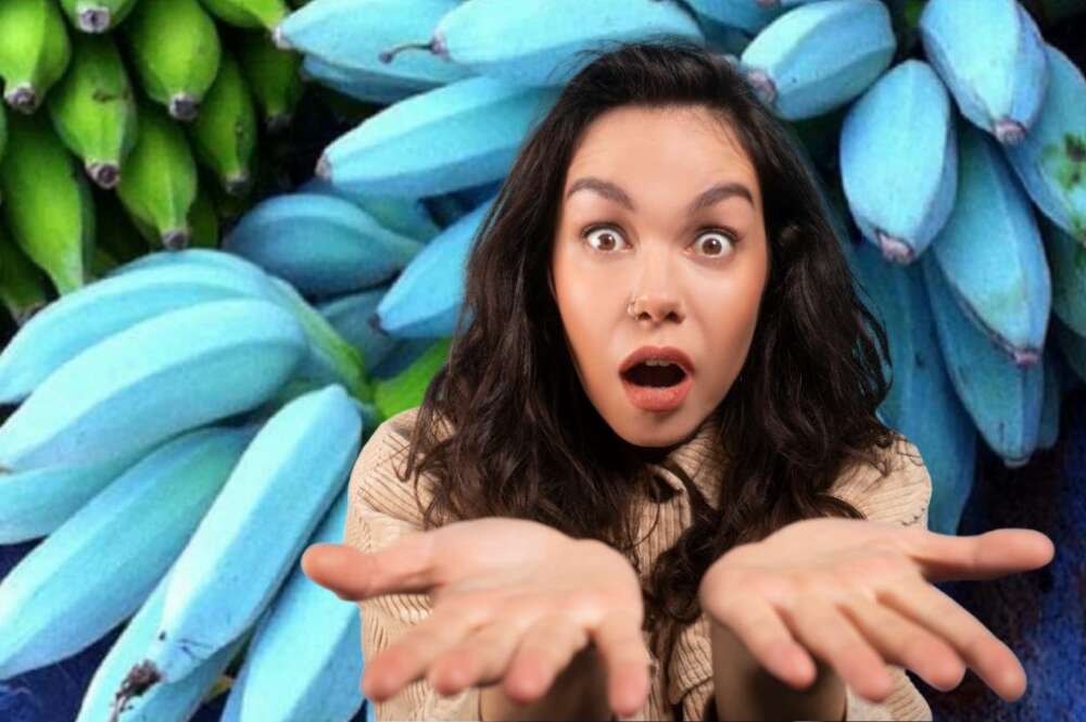 Plátano.