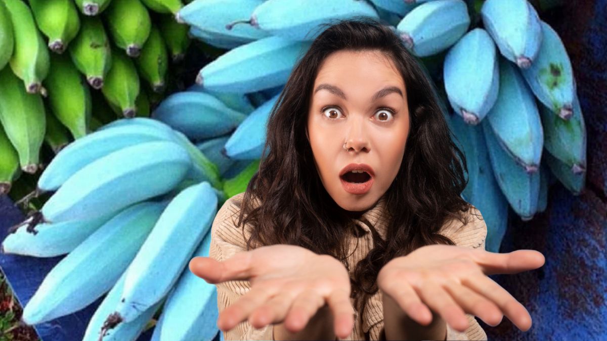 Plátano.