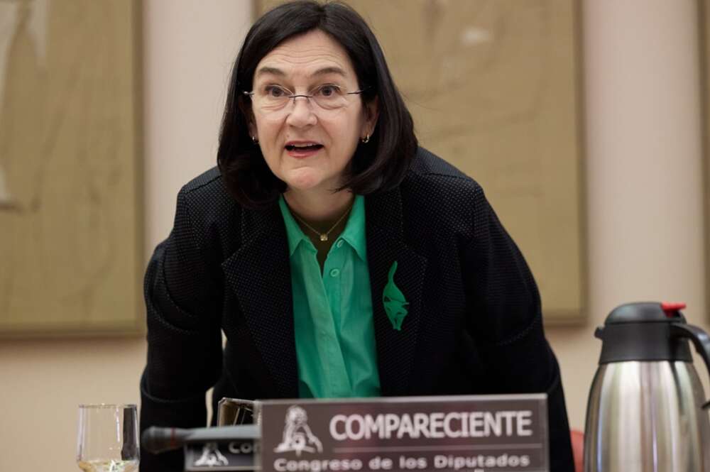 La presidenta de la Comisión Nacional de los Mercados y Competencia (CNMC), Cani Fernández