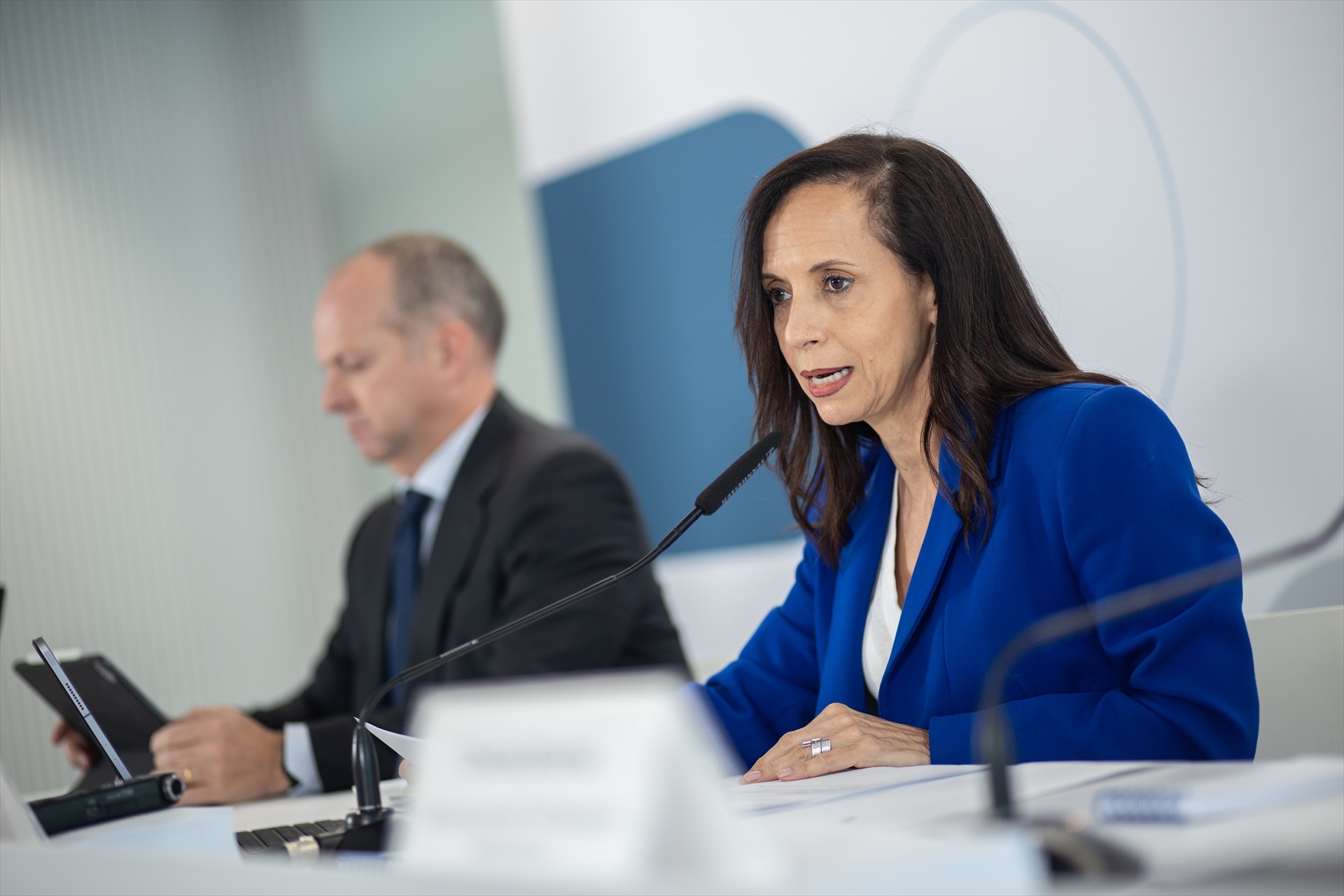 da siete días a Red Eléctrica para informar de la capacidad de sus redes