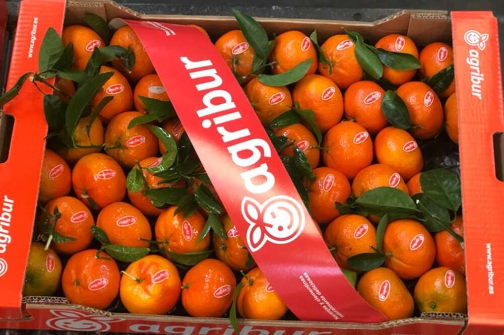 Una caja de fruta de Agribur