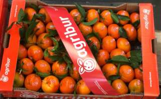 Una caja de fruta de Agribur