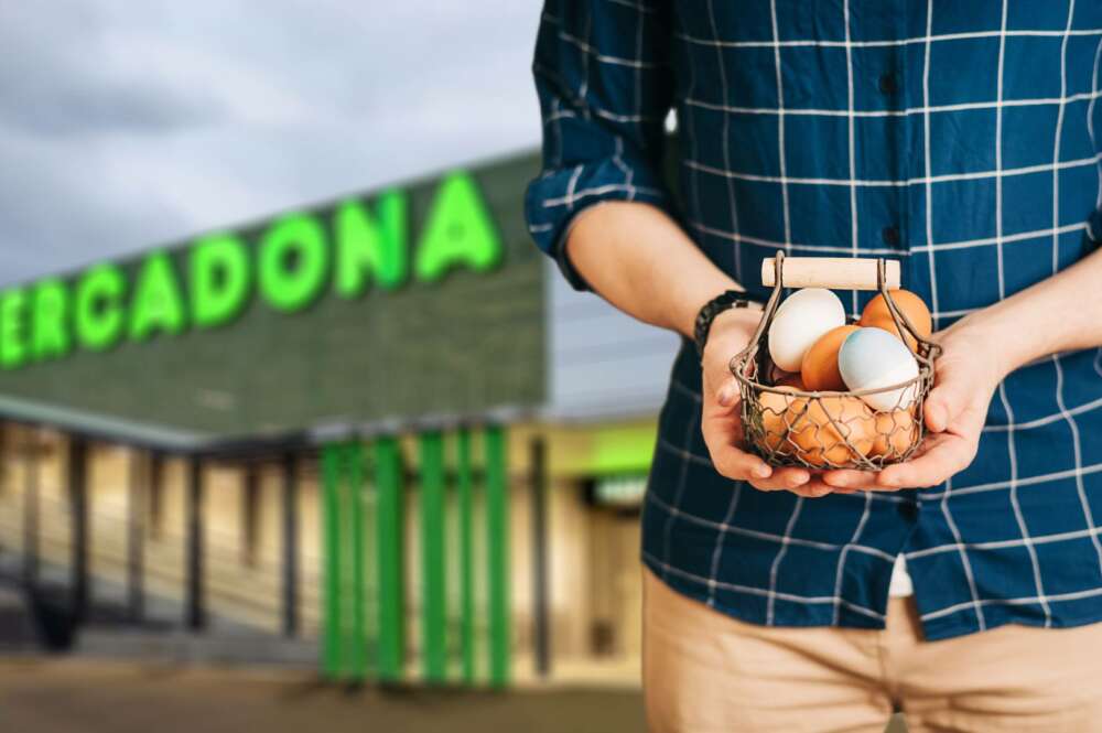Mercadona y sus variedades de huevos