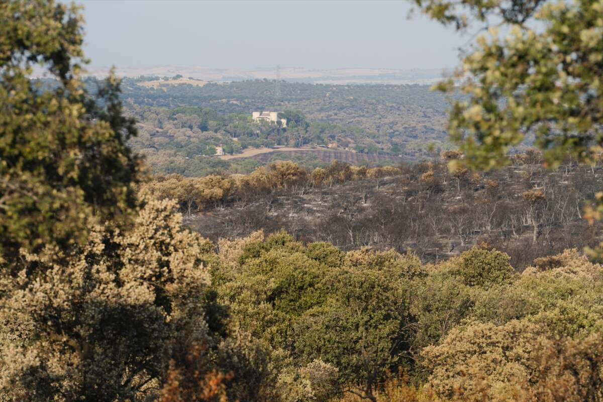 Incendios Madrid 