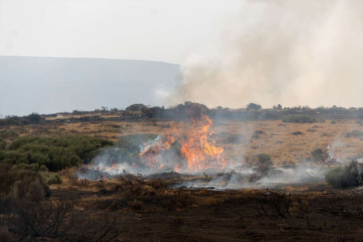 Incendios. España. Foto: Europa Press.