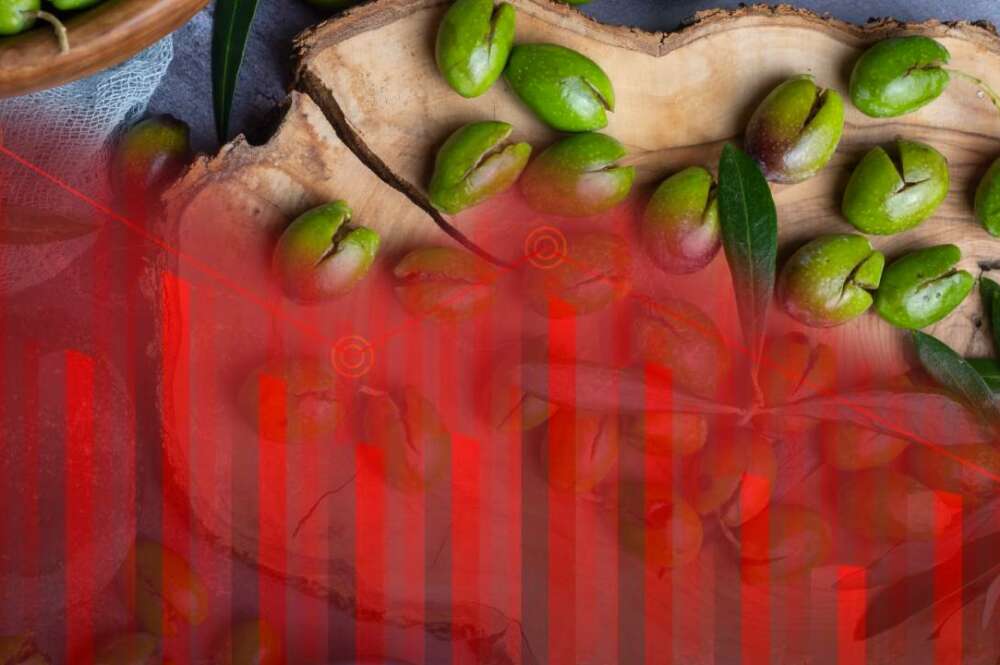 concurso de acreedores