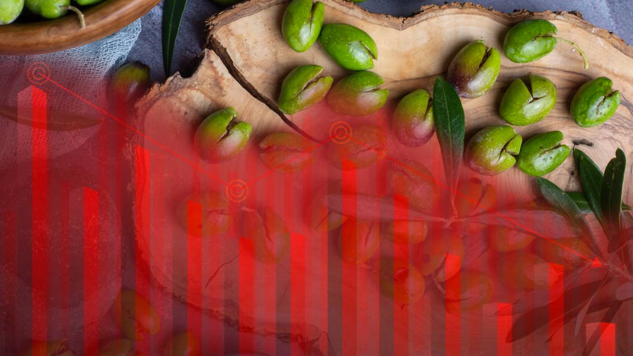 concurso de acreedores