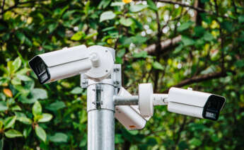 Sector seguridad Phoenix