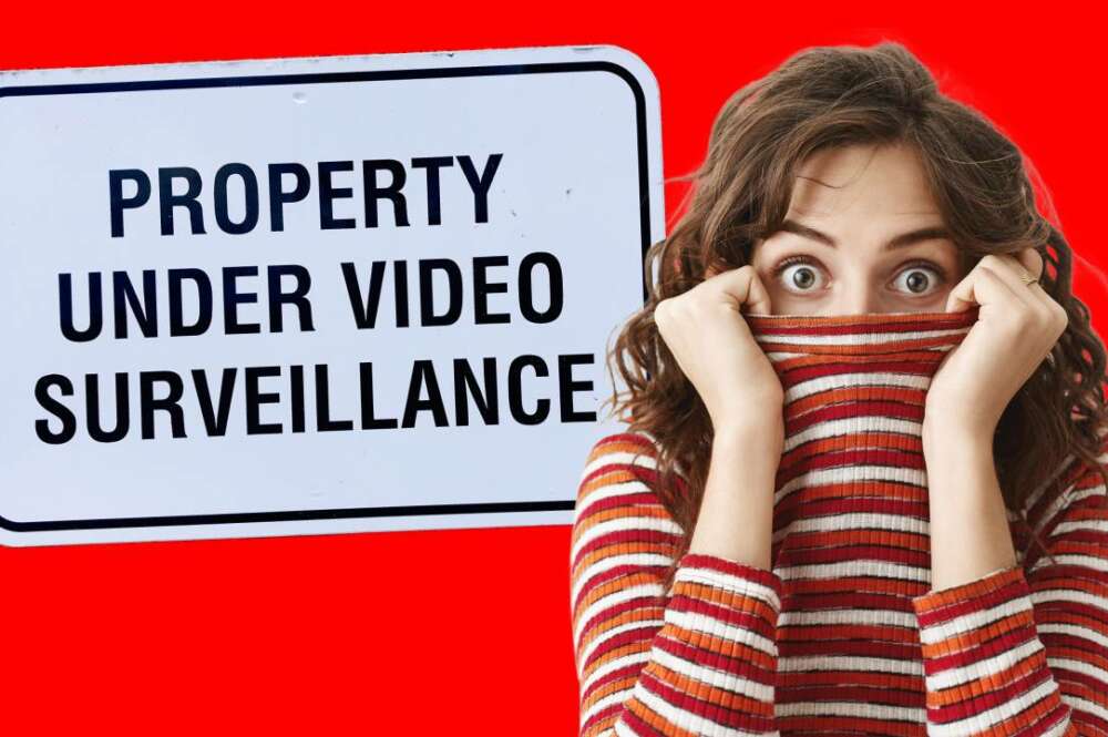 seguridad privada