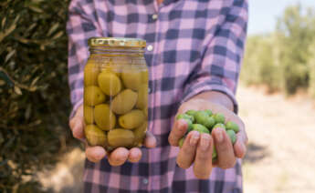 concurso de acreedores Aceitunas Sarasa