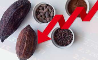 Cacao. Descenso.