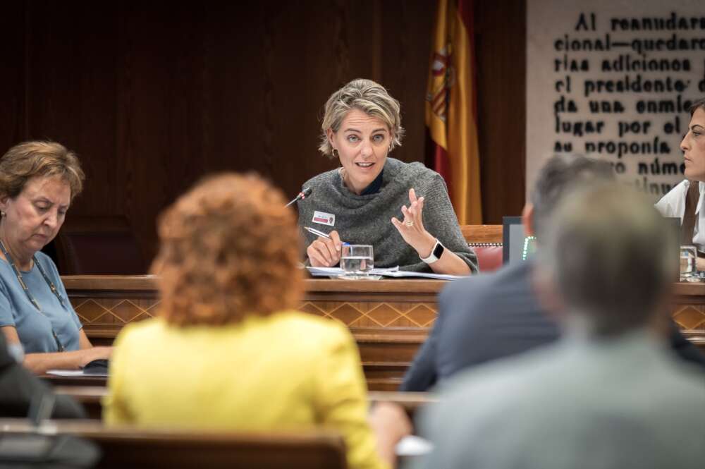 La directora de Regulación de la Asociación de Empresas de Energía Eléctrica (AELEC), Marta Castro, durante la Comisión de Investigación del apagón del 28 de abril en el Senado