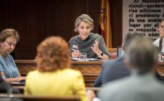 La directora de Regulación de la Asociación de Empresas de Energía Eléctrica (AELEC), Marta Castro, durante la Comisión de Investigación del apagón del 28 de abril en el Senado