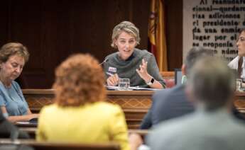 La directora de Regulación de la Asociación de Empresas de Energía Eléctrica (AELEC), Marta Castro, durante la Comisión de Investigación del apagón del 28 de abril en el Senado
