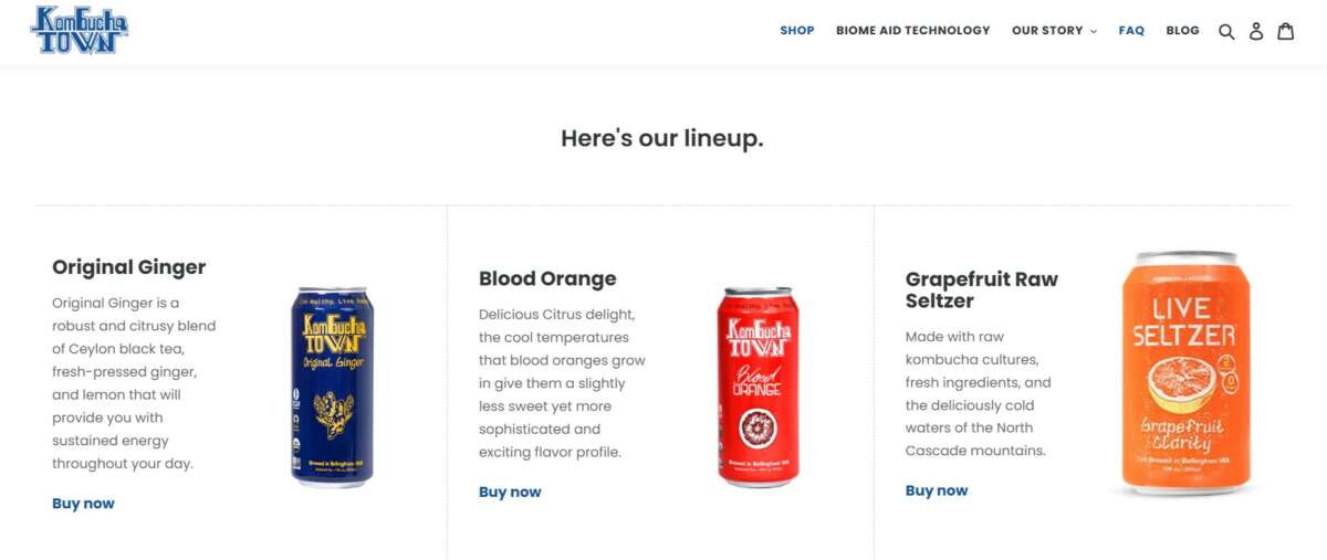 Quiebra bebidas kombucha 