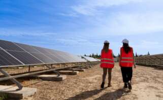 Plantas fotovoltaicas de Veolia en Córdoba. Foto: Veolia.