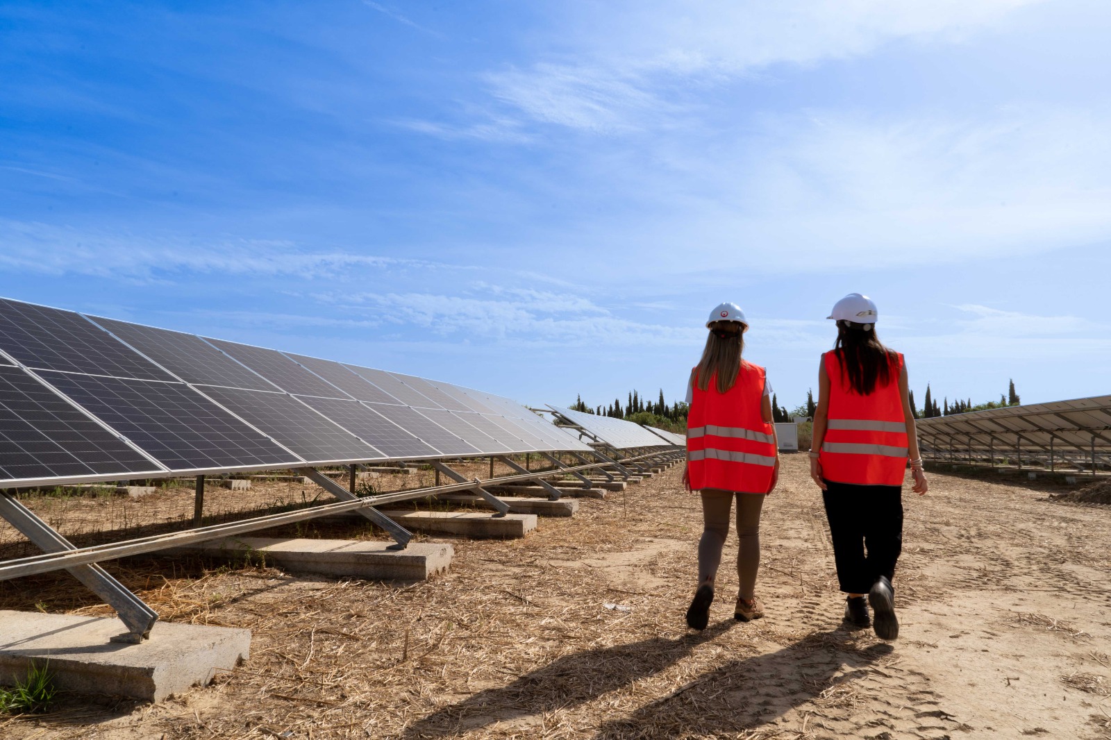 Plantas fotovoltaicas de Veolia en Córdoba. Foto: Veolia.