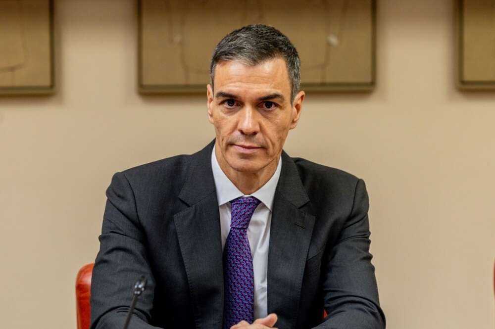 pedro sanchez presidente del gobierno