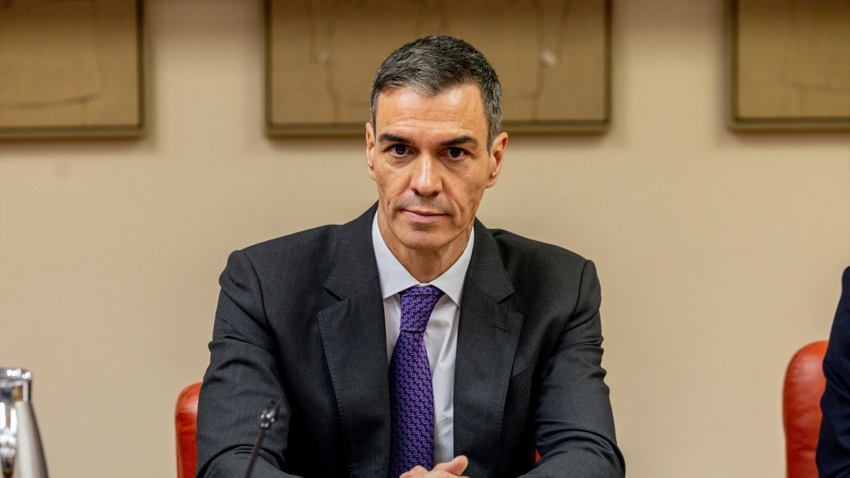 pedro sanchez presidente del gobierno