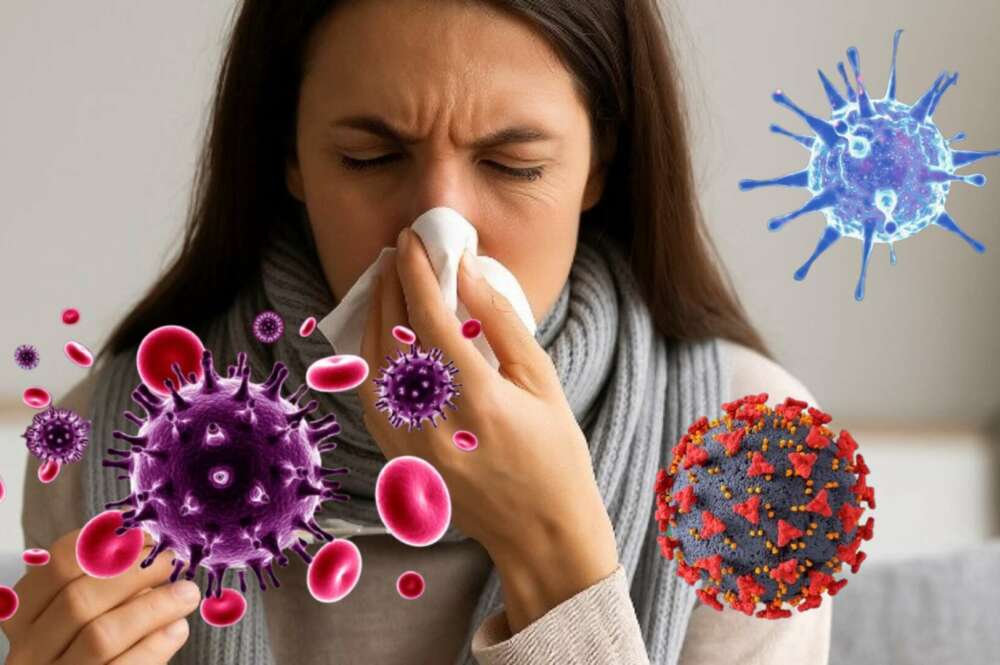 La variante grip K dispara los contagios y provoca la temporada de gripe más intensa en más de una década en Europa