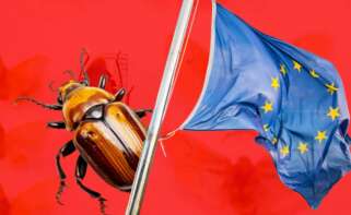 quiebra granja insectos de Francia