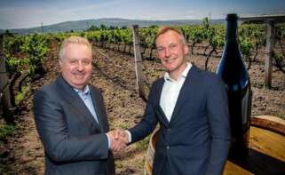 La familia Ferrer culmina la desinversión iniciada en 2018 y deja en manos del grupo alemán Henkell el control total de Freixenet, uno de los grandes referentes internacionales del cava español