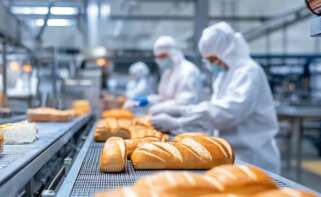 La industria alimentaria se consolida como motor económico en Cataluña, con un peso creciente en el conjunto del sector nacional