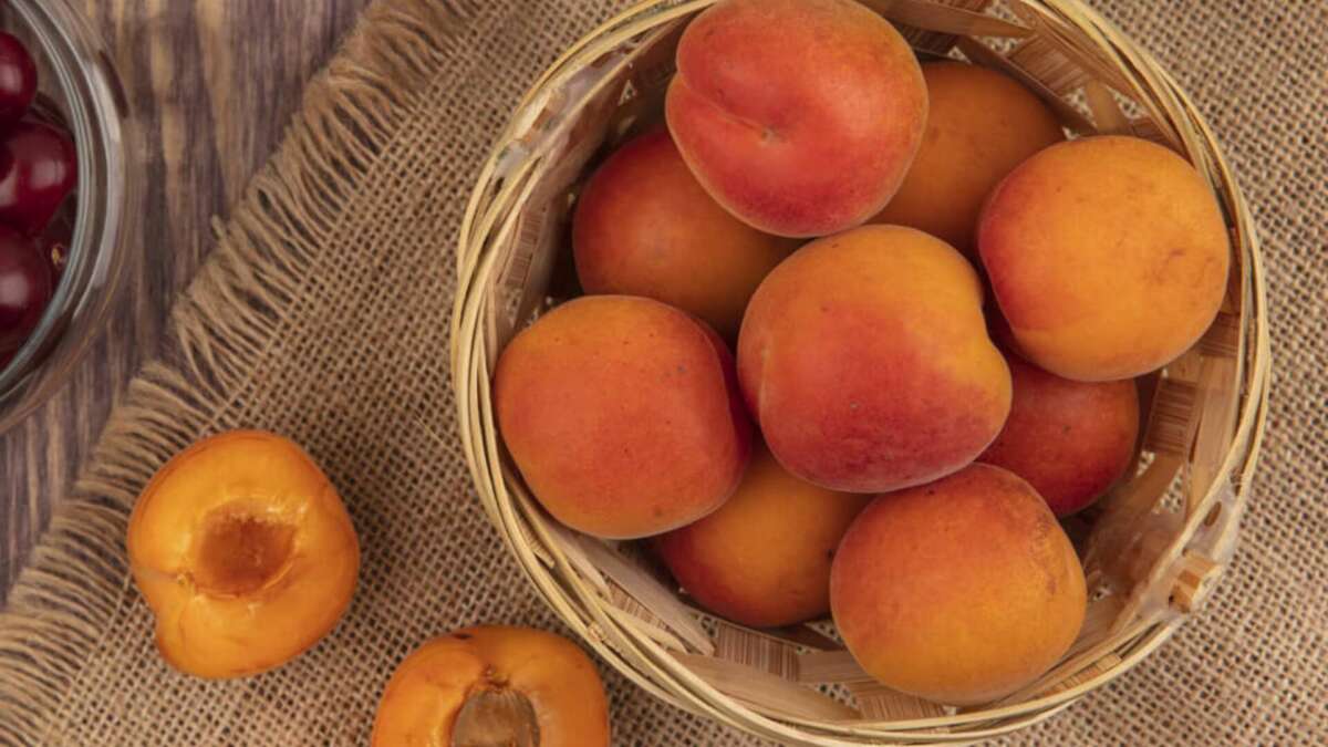 El cierre de la histórica distribuidora hortofrutícola evidencia la fragilidad del sector en Canarias y deja en el aire el futuro de trabajadores y proveedores tras la quiebra