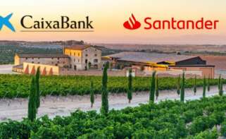 La compañía vinícola busca adaptar su estructura financiera ante la caída del consumo y el endurecimiento de las condiciones económicas