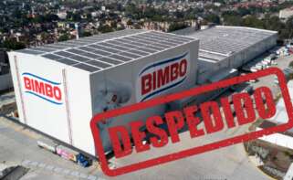 El ERE de Bimbo sigue en pie.