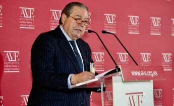 Vicente Boluda, presidente de AVE