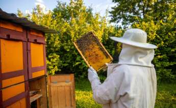 Un apicultor. Foto: Freepik.
