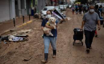 Una mujer transporta a su perro, a 4 de noviembre de 2024, en Benetússer, Valencia, Comunidad Valenciana (España). La DANA ha dejado, por el momento, 210 víctimas mortales en Valencia, con pueblos devastados, restricciones de movilidad y carreteras cortadas. Para hoy, está activa la Emergencia Situación 2 por inundaciones en toda la provincia de Valencia y en toda la provincia de Castellón. A pesar de que se ha restablecido el 95% de la electricidad, según Iberdrola, la mayoría de los pueblos afectados por las inundaciones continúan sin gas. Alejandro Martínez Vélez / Europa Press 04/11/2024