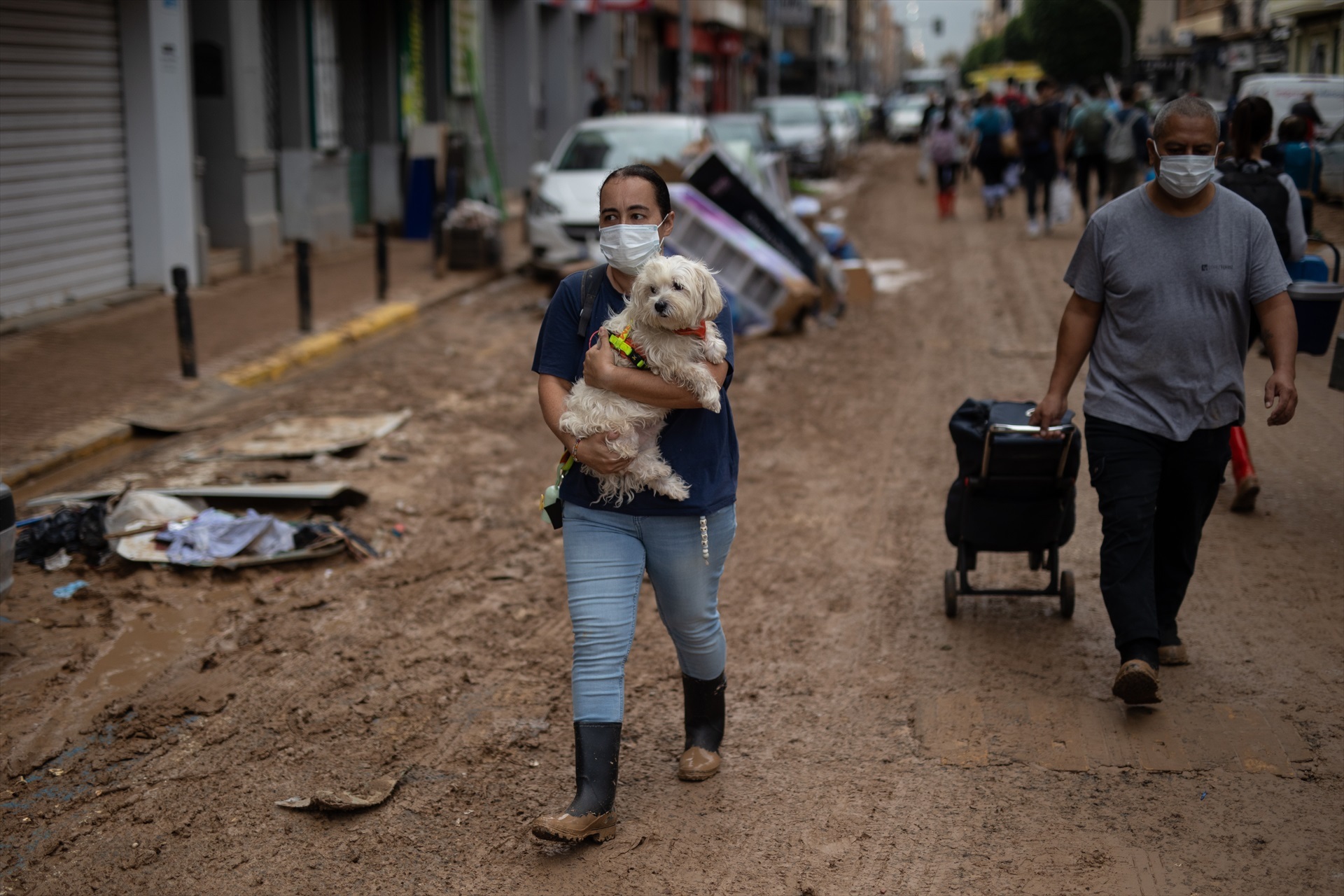 Una mujer transporta a su perro, a 4 de noviembre de 2024, en Benetússer, Valencia, Comunidad Valenciana (España). La DANA ha dejado, por el momento, 210 víctimas mortales en Valencia, con pueblos devastados, restricciones de movilidad y carreteras cortadas. Para hoy, está activa la Emergencia Situación 2 por inundaciones en toda la provincia de Valencia y en toda la provincia de Castellón. A pesar de que se ha restablecido el 95% de la electricidad, según Iberdrola, la mayoría de los pueblos afectados por las inundaciones continúan sin gas. Alejandro Martínez Vélez / Europa Press 04/11/2024